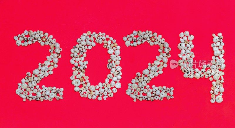2024在红色背景上以Makhana或Fox坚果书写，带有复制空间，也被称为莲子Pop, Euryale Ferox或Gorgon坚果，Happy New Year 2024祝概念照片